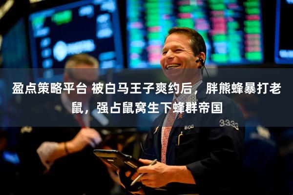 盈点策略平台 被白马王子爽约后，胖熊蜂暴打老鼠，强占鼠窝生下蜂群帝国