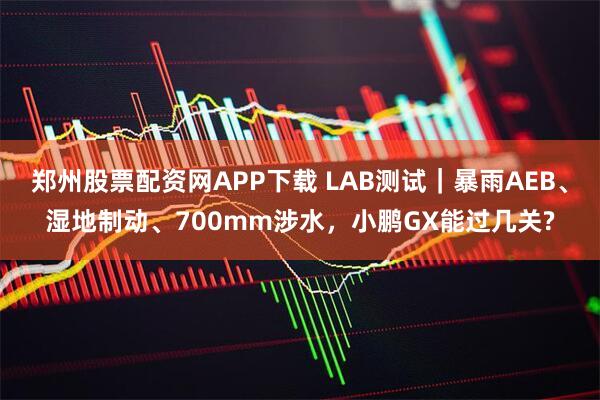 郑州股票配资网APP下载 LAB测试｜暴雨AEB、湿地制动、700mm涉水，小鹏GX能过几关?